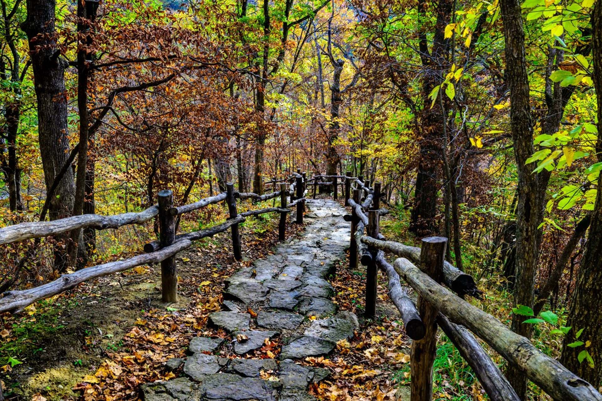 20 Inspiring Ways to Experience Fall in Iowa